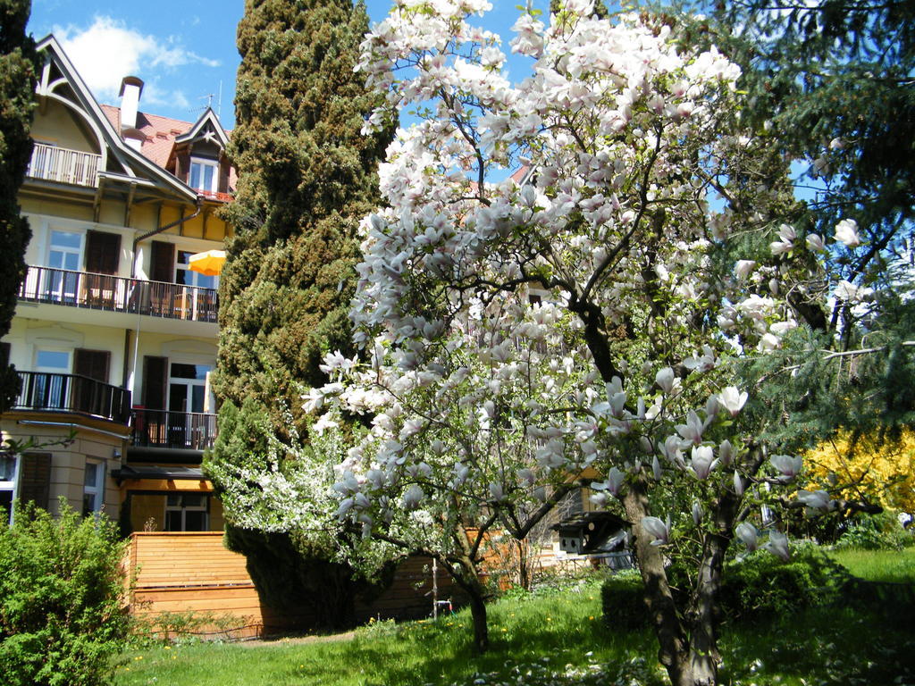 Hotel Angelica ميرانو المظهر الخارجي الصورة